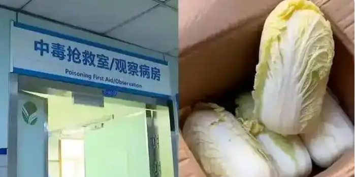 八斤娃娃菜毒倒两人：低价背后的“毒包装”与防水行业“注浆骗局”惊人相似